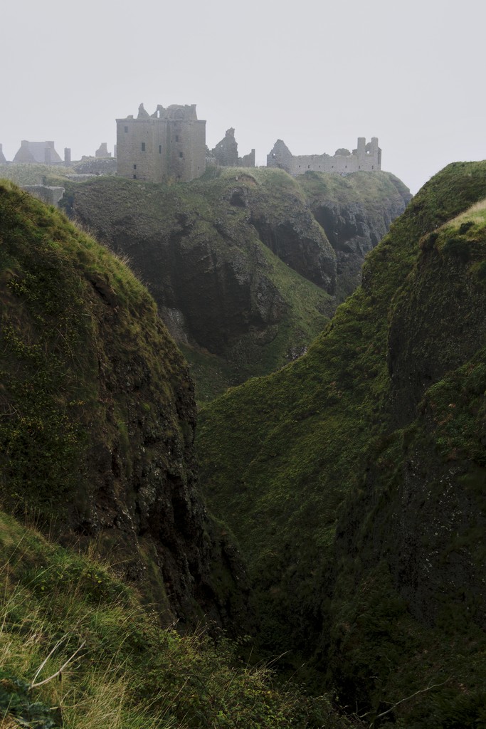 LB_artworks's tweet image. This is a real photo
 
#photography #写真好きな人と繋がりたい #fotografia