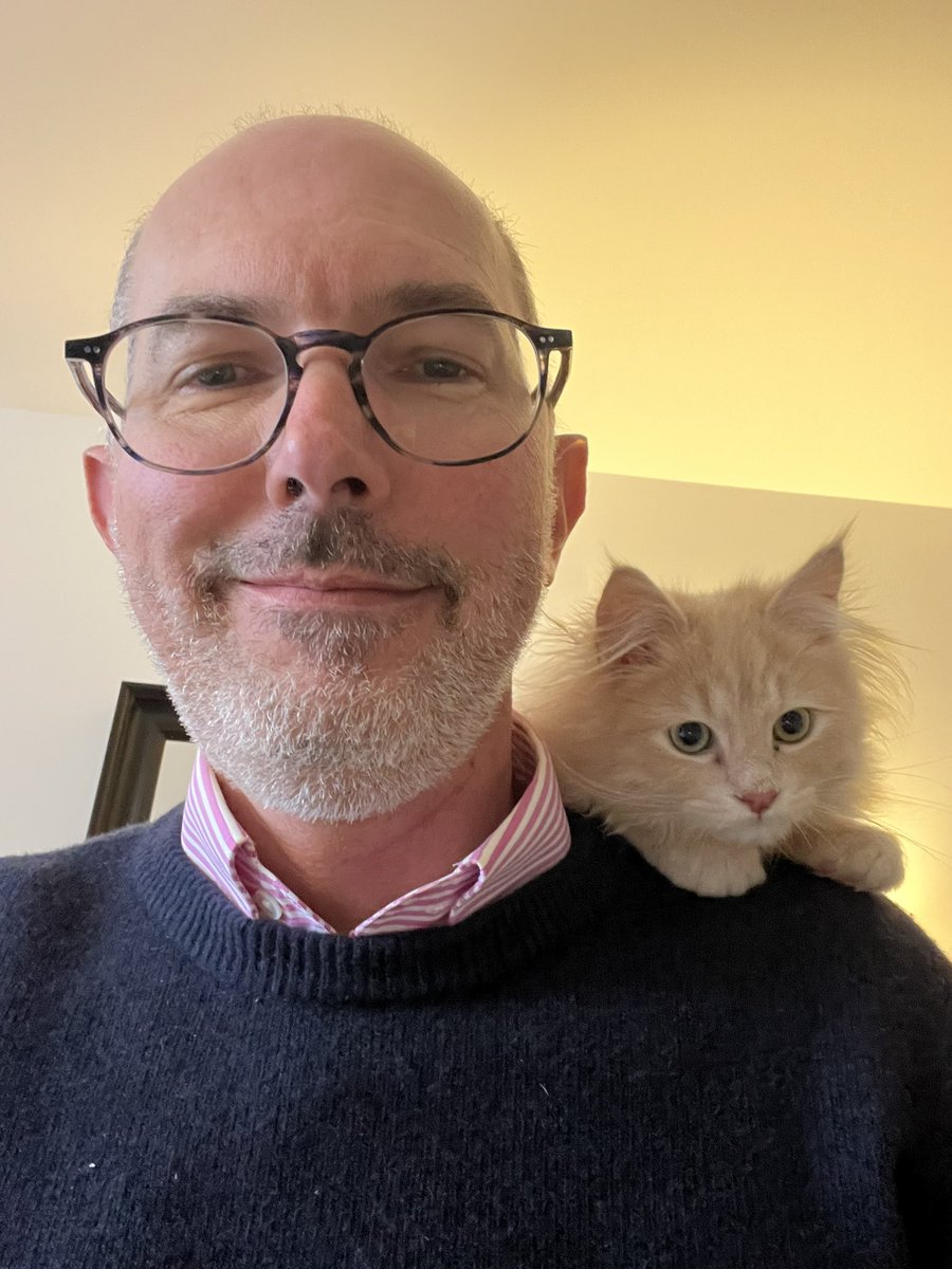 Pause déjeuner en télétravail… 😅
(La seule chose qui l’intéresse, c’est mon assiette !)