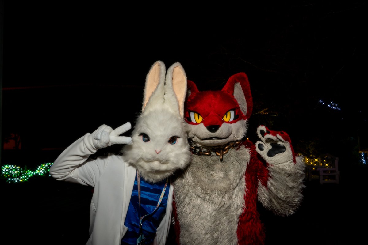 真っ暗な中、おいし・・・真っ白ウサギさんを発見したので写真をじゅるｒ・・・パシャリ！
 #FursuitFriday
 #Kemocon
 #Kemocon18