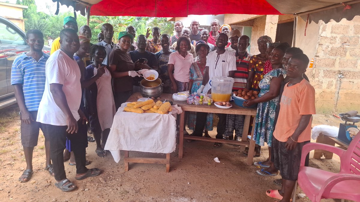 Solidaridad_wa's tweet image. 1/ #Smallholder #oilpalm farmers in the Central region of Ghana are gaining climate-smart skills to cultivate and process Orange-Fleshed Sweet Potato (#OFSP) through a new initiative under NISCOPS, which is funded by @DutchMFA and @FCDOGovUK.