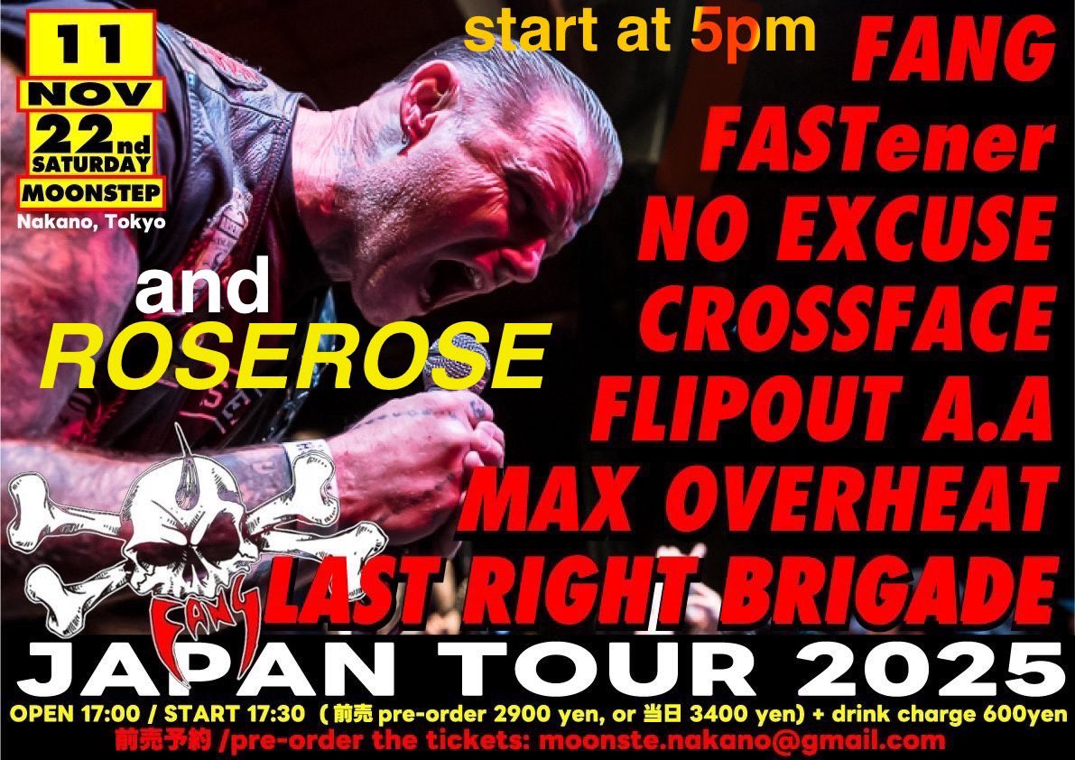 ヒロヤスヒロヤスさん専用 ディアマナ DIALEAD-Limited テーラー用スリーブ付き