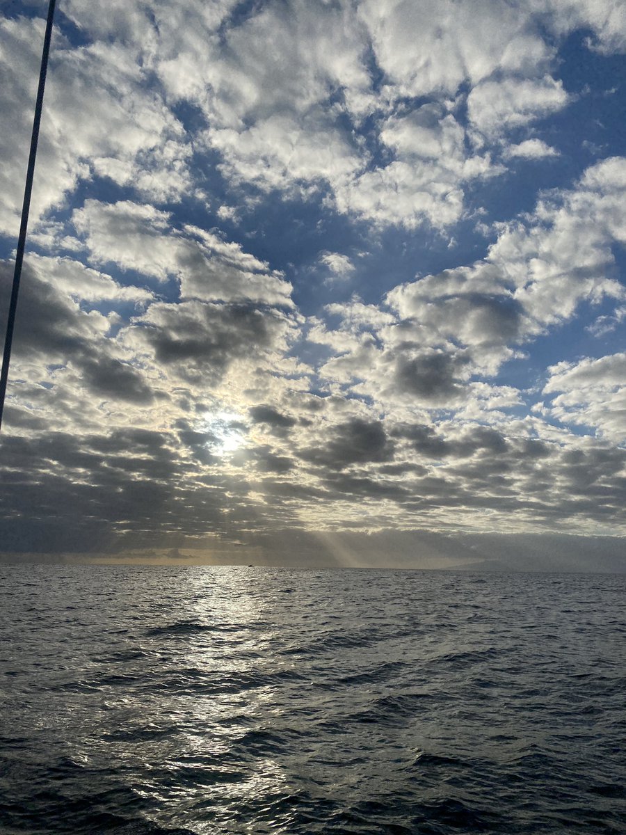 Richard and Famous tweet media