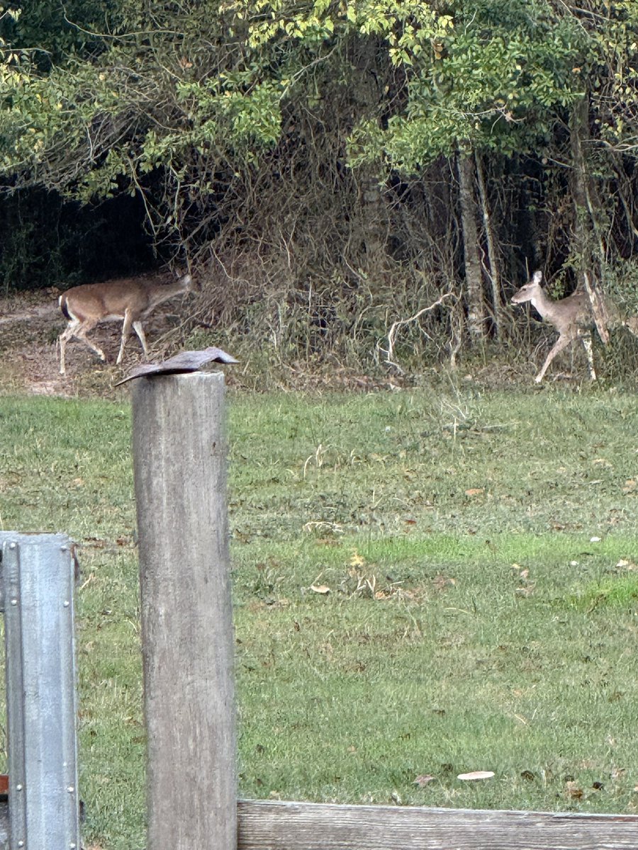 Let’s have a great day