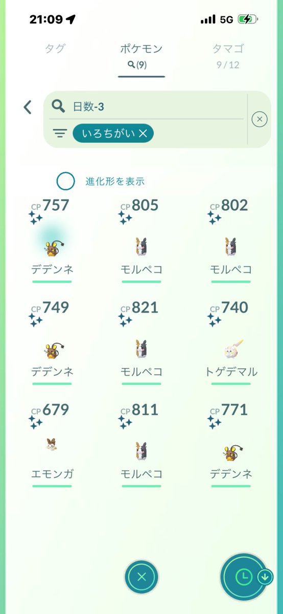 1h0r2k8's tweet image. ♀のモルペコが出ない😂
明日午後から難波行く予定ができたので夕方までキラ交換対応できます！