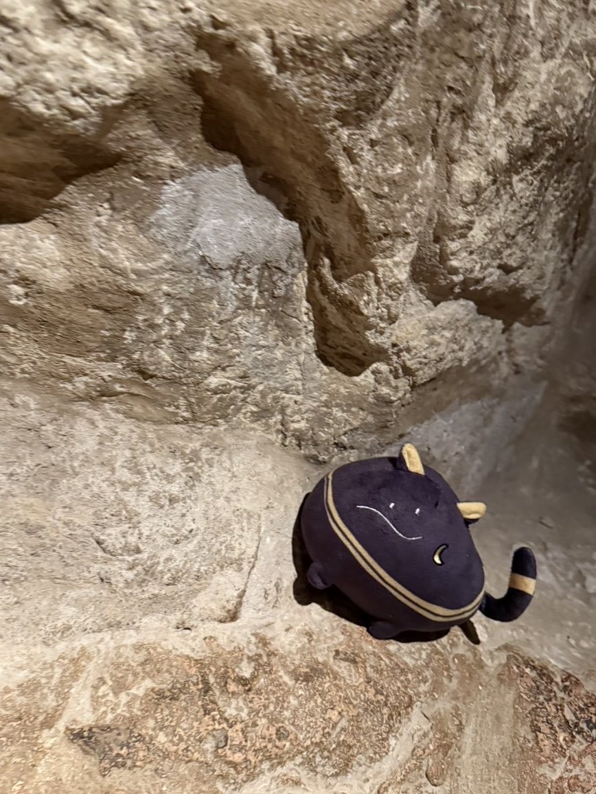 hanamiya_nina's tweet image. 本日の #217find!もご視聴ありがとうございました!
番組内でもお話させて頂きましたが、来月は217カード・クエスチョン!をたっぷりお届けする回を予定しています✨
民の皆様が、私の何を知りたがっているのか…いつも意外で驚いています😳
そういった意味でも大好きなコーナーなので今から楽しみです✌️