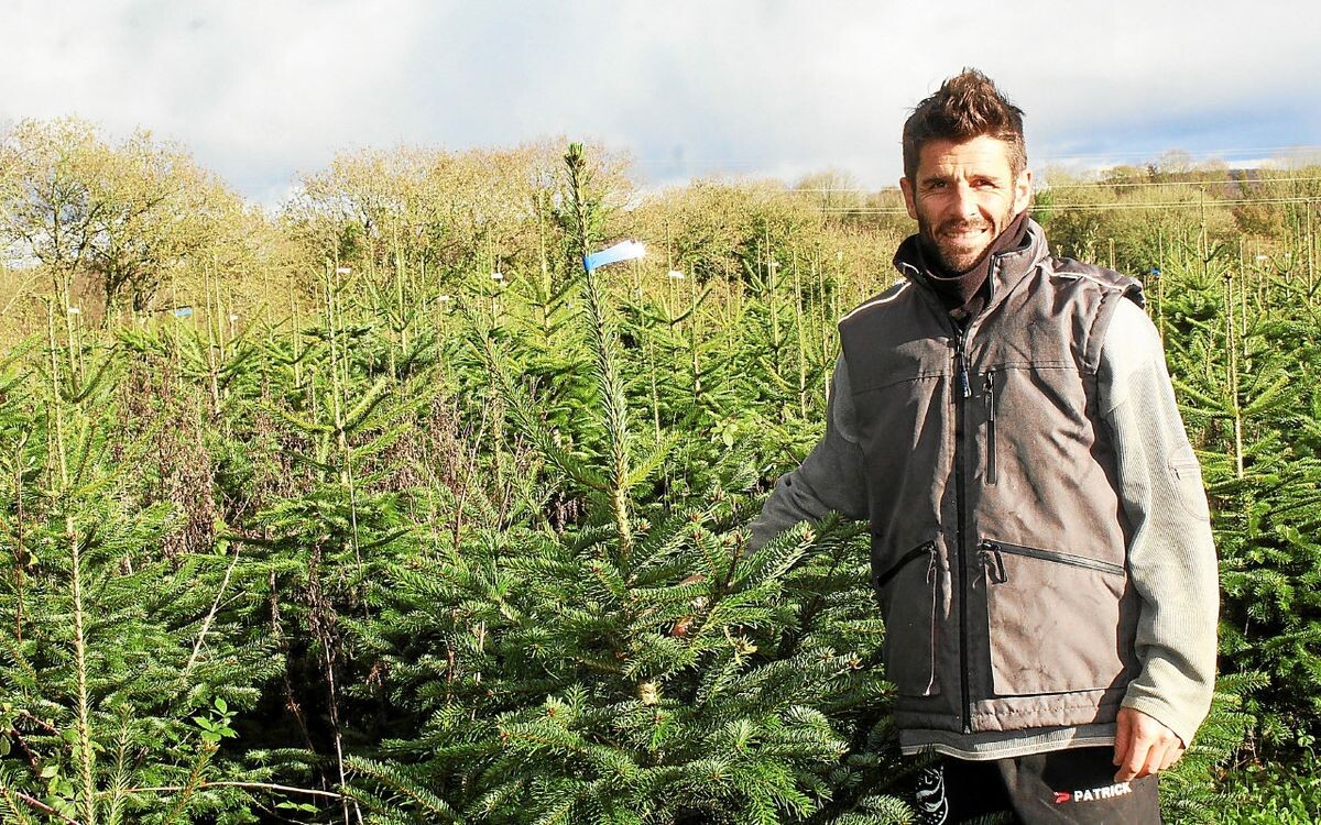 Pour la sixième année, le marché de Noël spécial « L’Amour est dans le pré » revient à Pleyber-Christ, les 29 et 30 novembre 2025 sur l’exploitation d’Emeric Emeillat, candidat de la saison 13.
➡️ go.letelegramme.fr/amgV