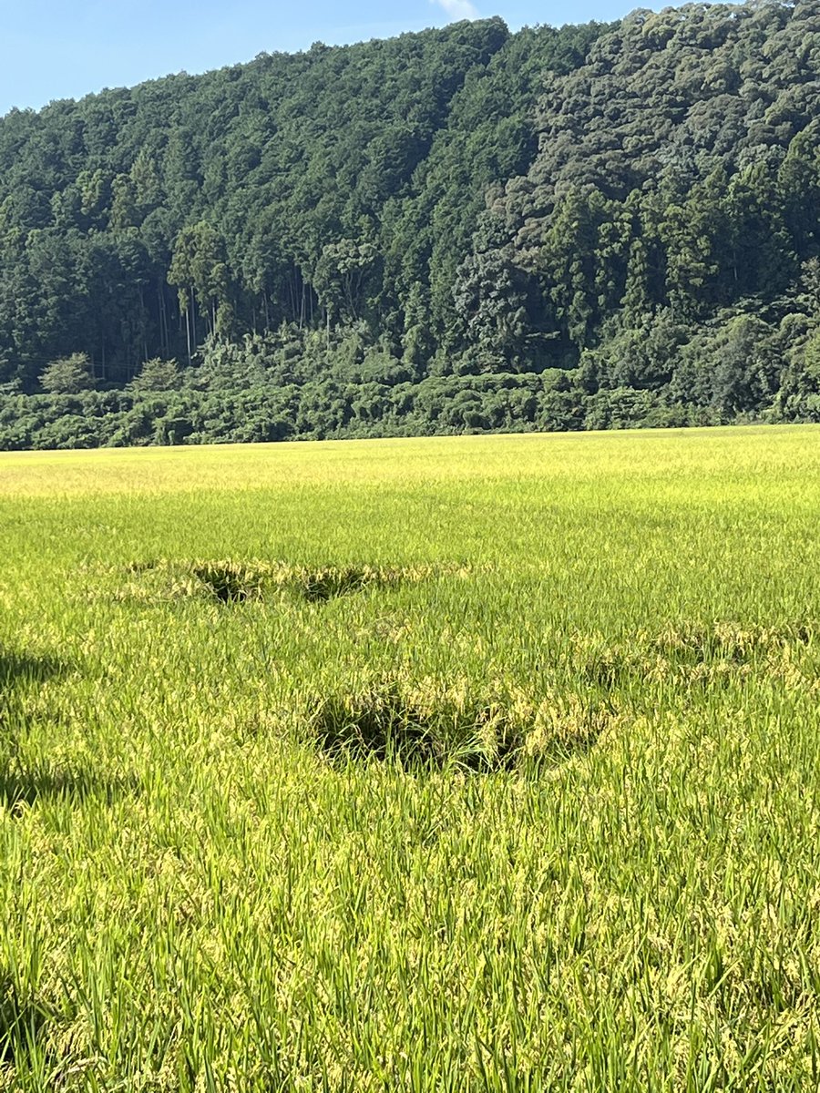 田舎の者mo-chan (@moss0782ga) / Posts / X