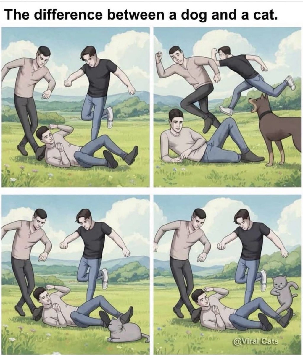 Prairie Putz (@putzisbackbaby) on Twitter photo 