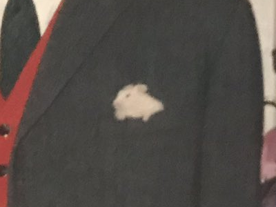 햄스터 가족 사진