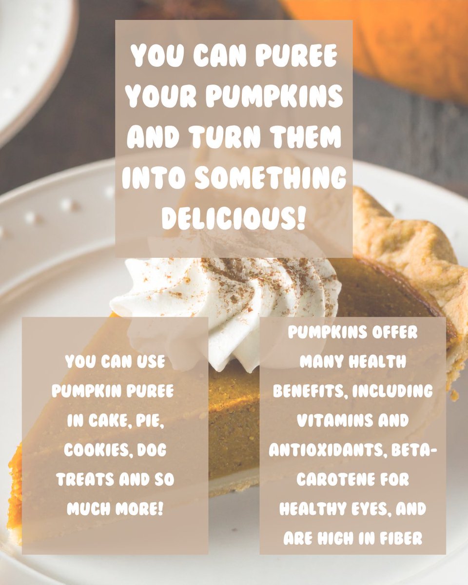FiberMaxCenter's tweet image. Happy #farmerfriday, everyone!!

When you trade in your fall pumpkins for Christmas decor, don't just toss them. 

If none of these options work for you, check with a local farm and see if they accept pumpkins!

#FCFD #agriculture #pumpkins #compost