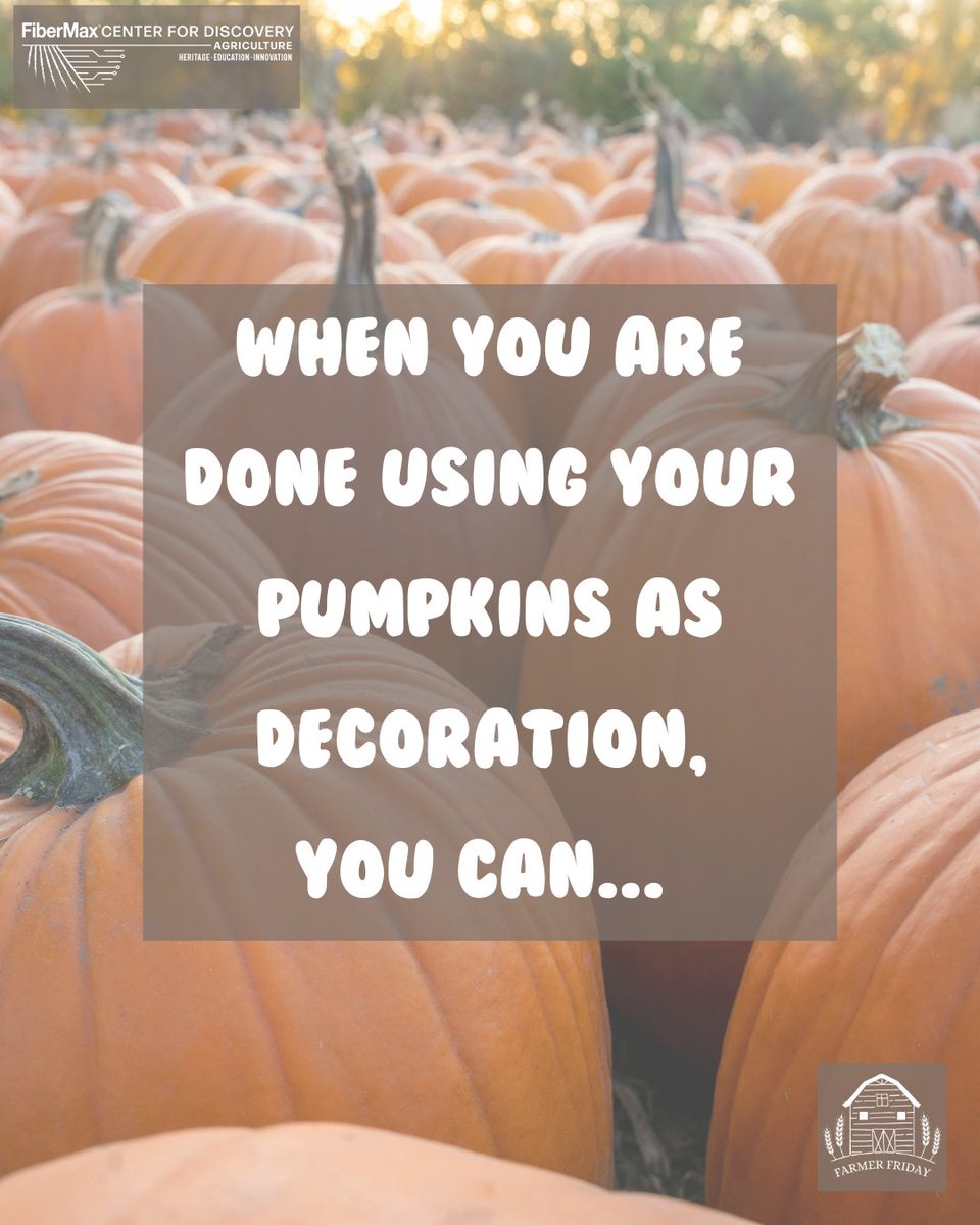 FiberMaxCenter's tweet image. Happy #farmerfriday, everyone!!

When you trade in your fall pumpkins for Christmas decor, don't just toss them. 

If none of these options work for you, check with a local farm and see if they accept pumpkins!

#FCFD #agriculture #pumpkins #compost