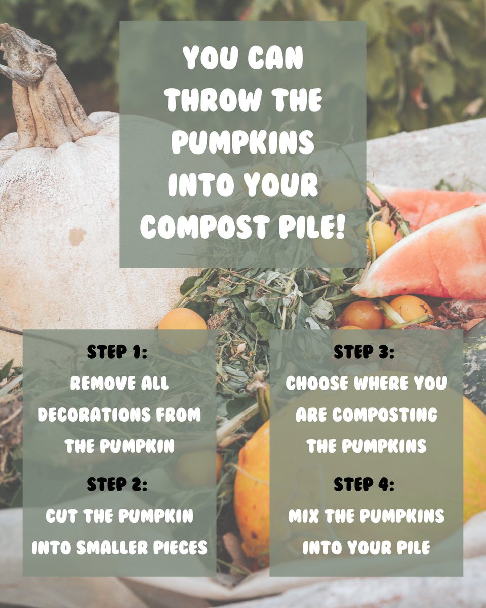 FiberMaxCenter's tweet image. Happy #farmerfriday, everyone!!

When you trade in your fall pumpkins for Christmas decor, don't just toss them. 

If none of these options work for you, check with a local farm and see if they accept pumpkins!

#FCFD #agriculture #pumpkins #compost