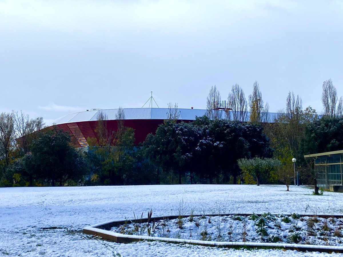 El Sadar rojiblanco ❄️❄️❄️☃️
<a href="/Osasuna/">C. A. OSASUNA</a>