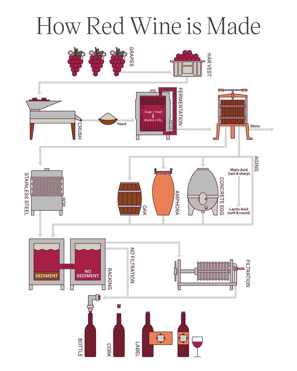Así se hace el vino tinto
