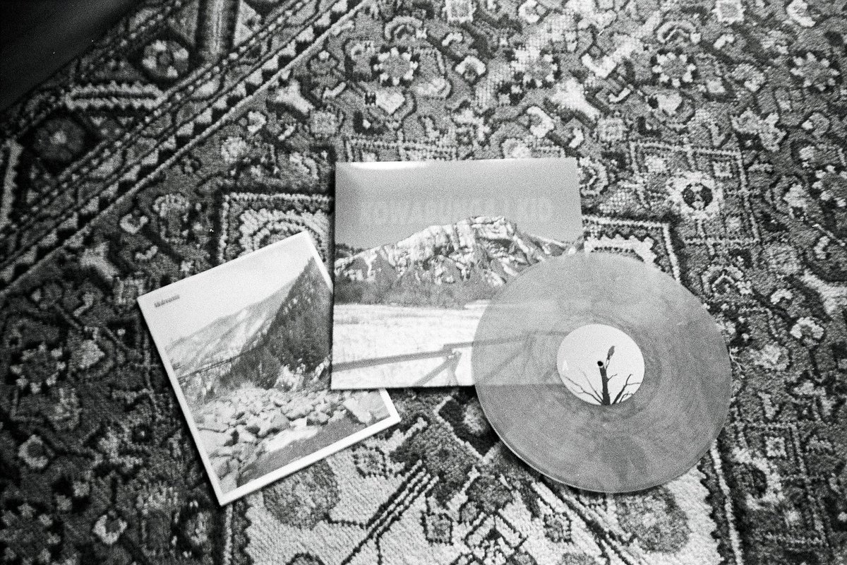 what a stunning day 2 buy a vinyl record of kowabunga kid's last recorded effort huh ?

store.ratkingrecords.com/products/868573