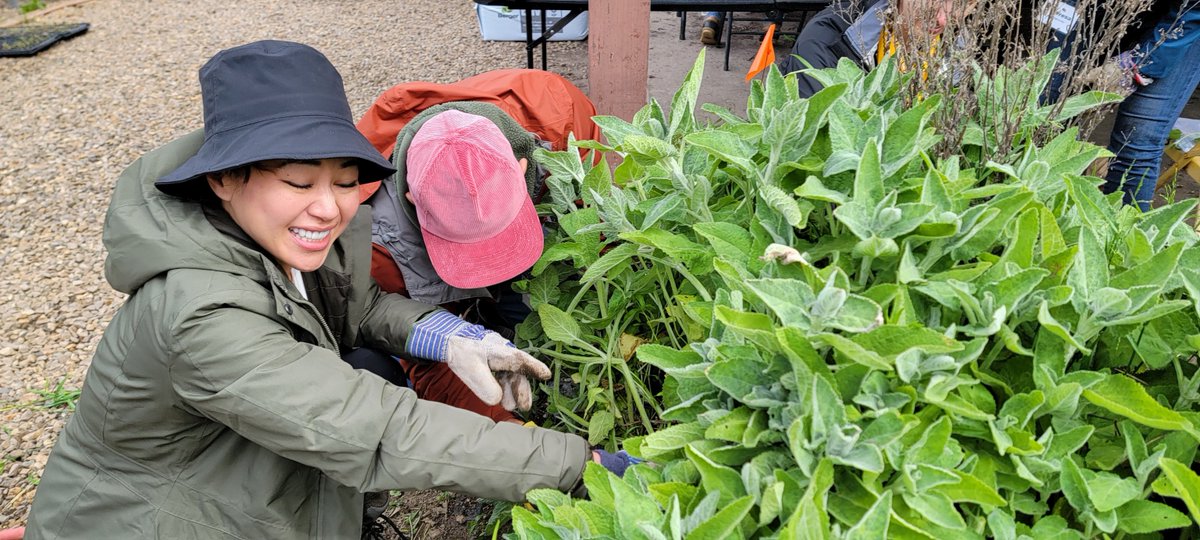 SAMO Fund is so excited to invite our volunteers back! Find new opportunities for our volunteer events with restoration and the native plant nursey on our Outdoors Calendar or on Eventbrite. We can’t wait to see all of you again!
samofund.org/outdoors-calen…