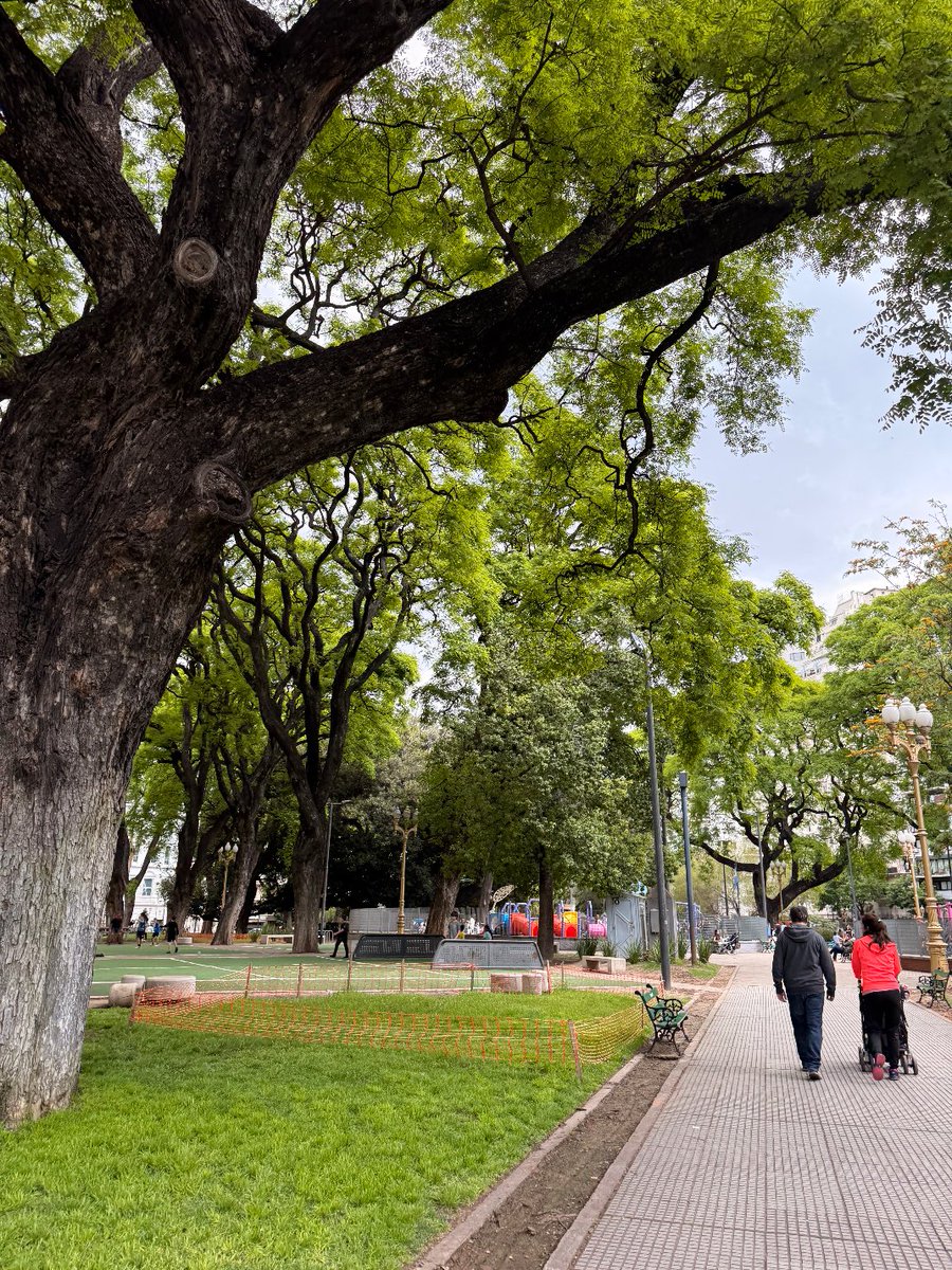 arquiguru's tweet photo. Una de mis cosas preferidas de Buenos Aires es la cantidad de parques que hay por todas partes

Es algo que siempre extraño cuando vuelvo a Asunción

Los parques son absolutamente necesarios si queremos construir ciudades para familias

Y por supuesto la zona alrededor tiene que ser caminable para que realmente funcione