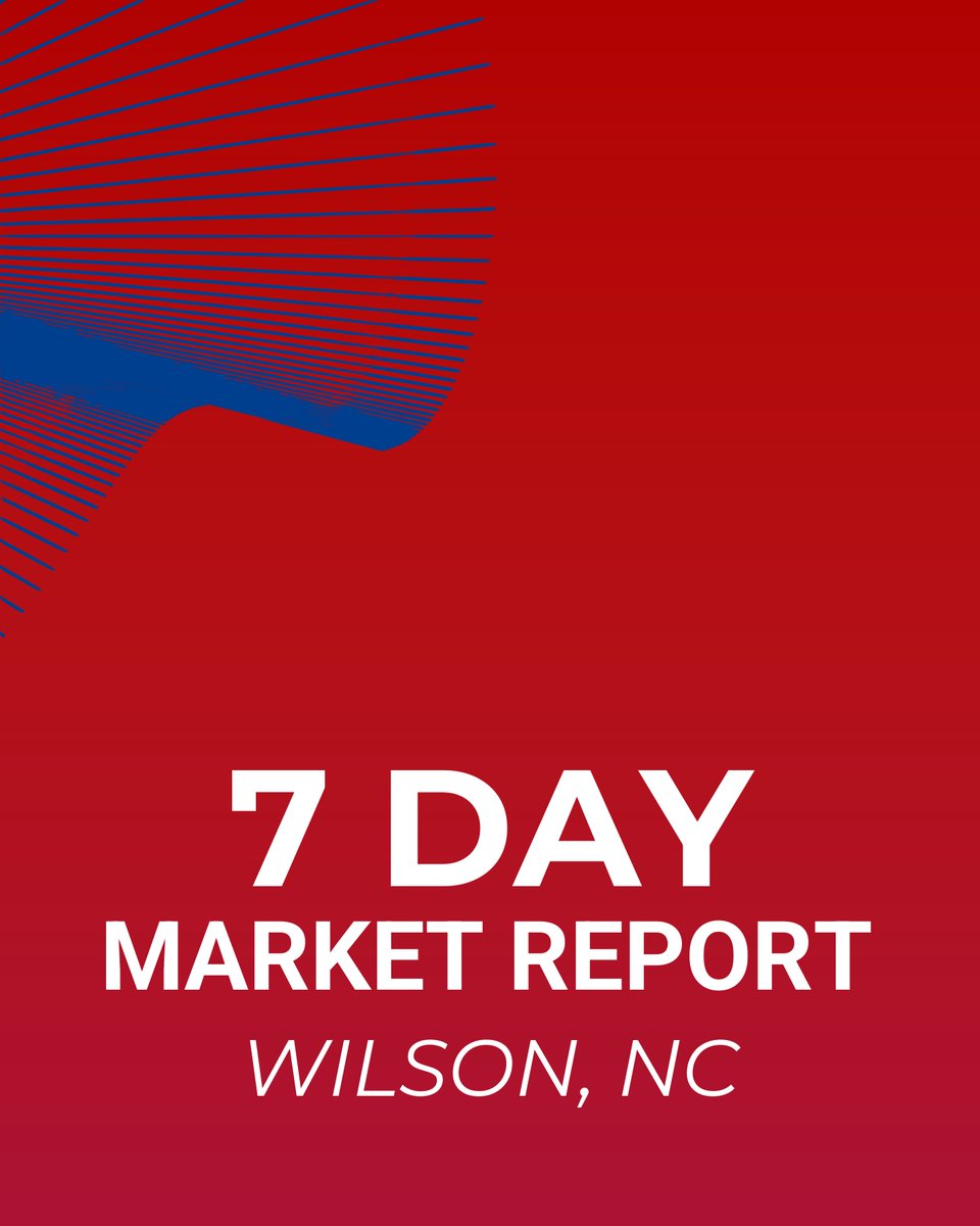 ChariotRealty's tweet photo. "Thinking about investing in Wilson, NC? Check this out: 189 homes for sale at $270K median price. Prices dropped on 47% of listings. 10% relisted, so there's room to haggle. $155/sq. ft. Let's boost your rental game! DM me! #RealEstate #WilsonNC #InvestSmart" https://t.co/YGS24Bb1TR