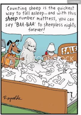 MtnMeadowWool's tweet image. Who is ready for an end of week nap? We wooly, wooly are! 🐑💤🛌 Fluff up the pillow and let the weekend begin.
#weekendmood #countingsheep #sheephumor #restfulvibe