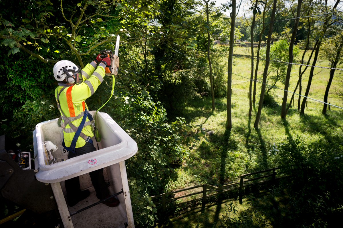 TraffordCouncil's tweet image. 🌳 Celebrating Trafford’s ‘tree-mendous’ trees for National Tree Week!

We’re shining a light on the amazing work of our tree maintenance team, who care for Trafford’s 70,000 trees in all weathers!

Learn more about our tree management: ow.ly/n2uC50XvTBX

#NationalTreeWeek