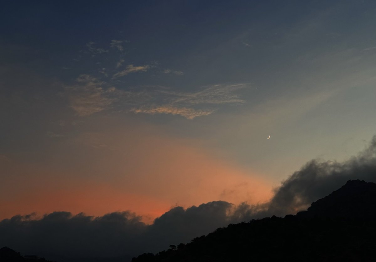 ultramarineil's tweet image. big fan of whatever this is called