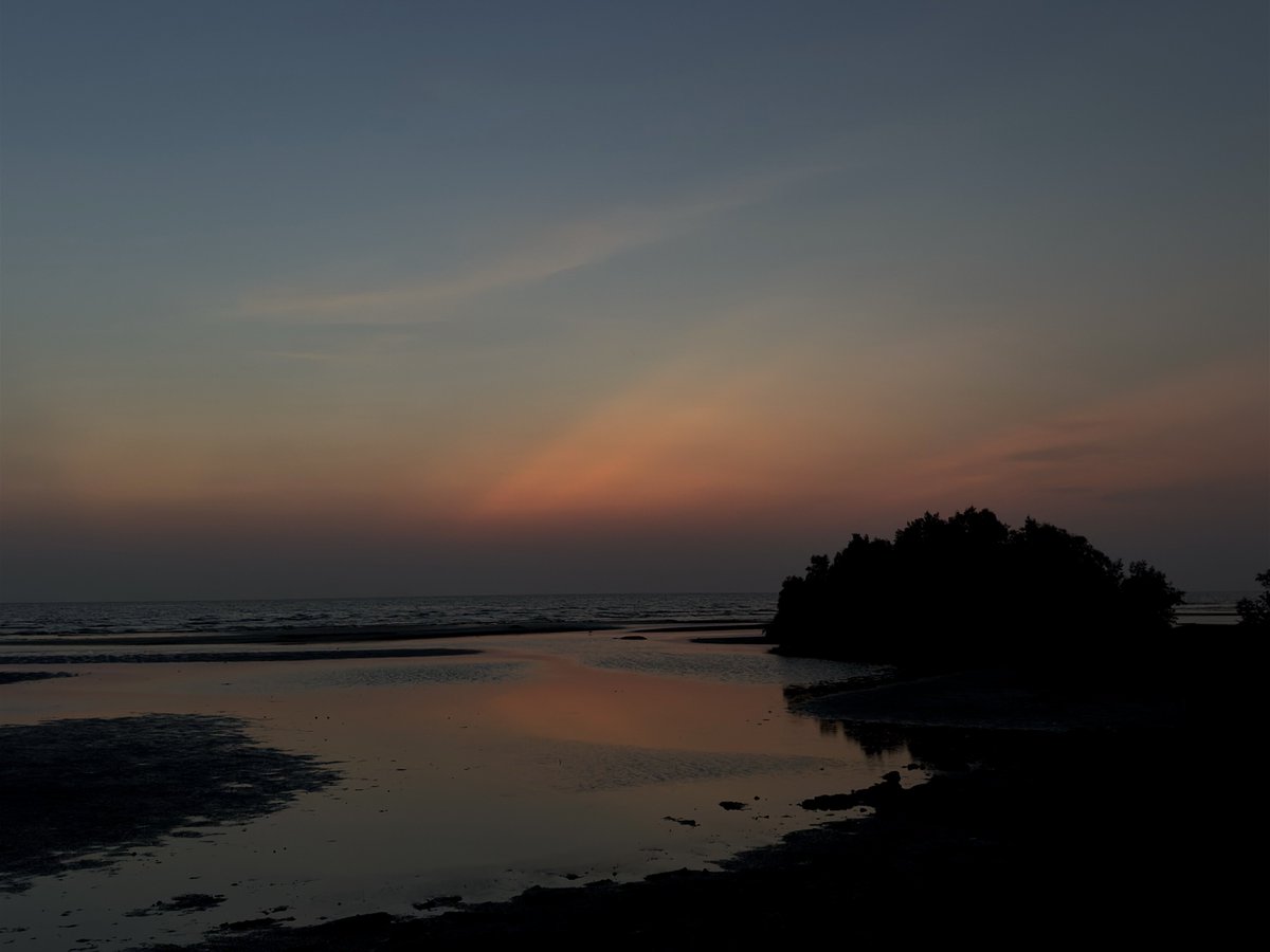 ultramarineil's tweet image. big fan of whatever this is called