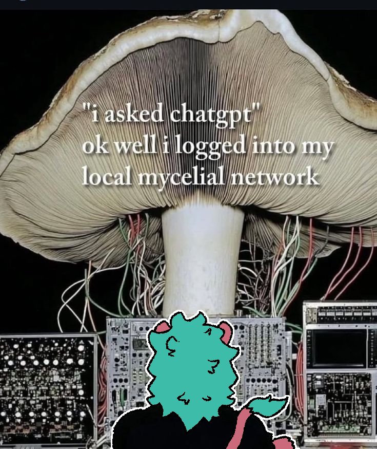 Diegarma tweet media