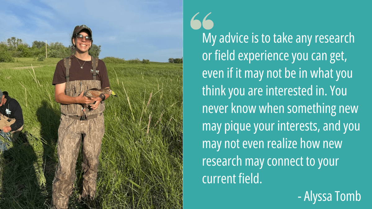 se_casc's tweet photo. 🌾 Researcher Spotlight – Meet Alyssa Tomb!

Her current research examines wintering mallards in bottomland hardwood forests of Arkansas.

👉 Read his full story: https://t.co/w9eWGjyS4E https://t.co/Oopk7IJmMS