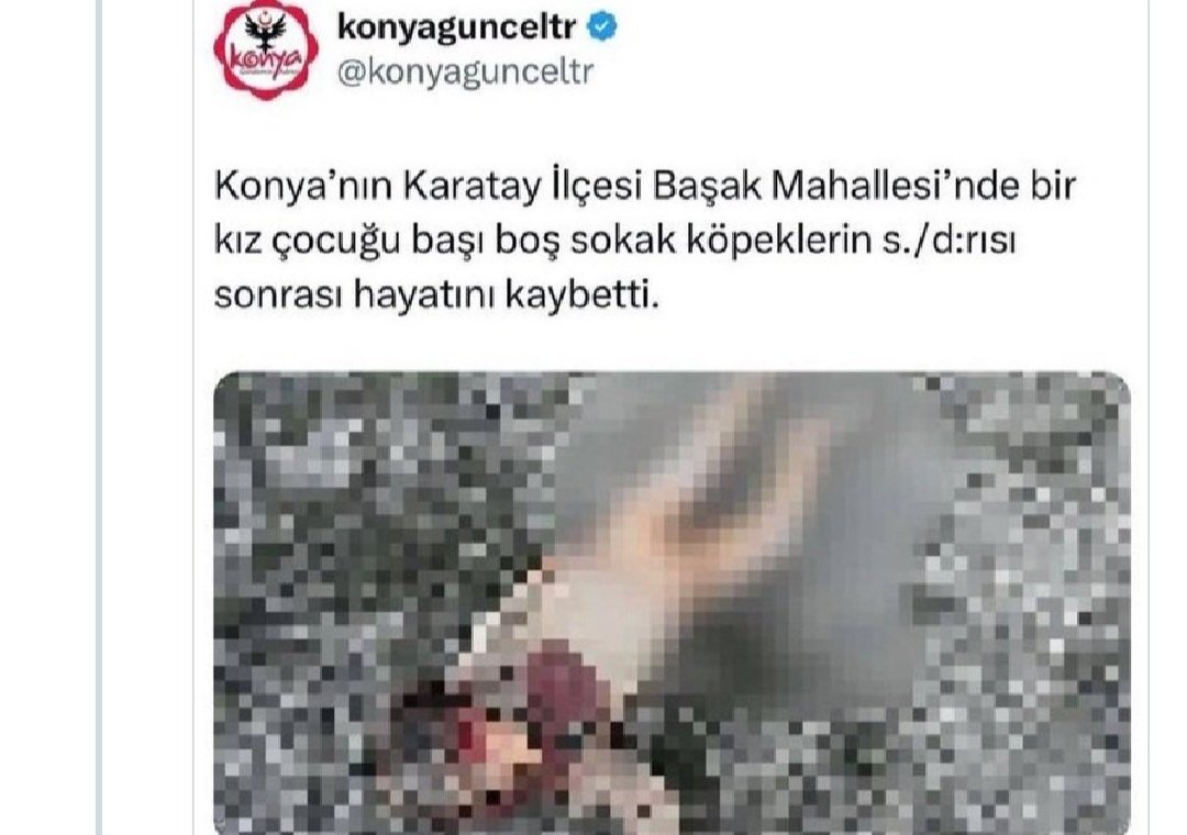 Rana bebeği başıboş köpeklerin parçalayarak öldürdüğü Konya Karatay'da, bugün yine bir çocuk parçalanmaktan kıl payı kurtulmuş.

Karatay Belediye Başkanı <a href="/hkilca/">Hasan KILCA</a>, bu köpekleri toplamak yerine utanmadan kendisine tepki gösterenlere hakaret davası açıyor. Allah'ın gazabı üzerinize