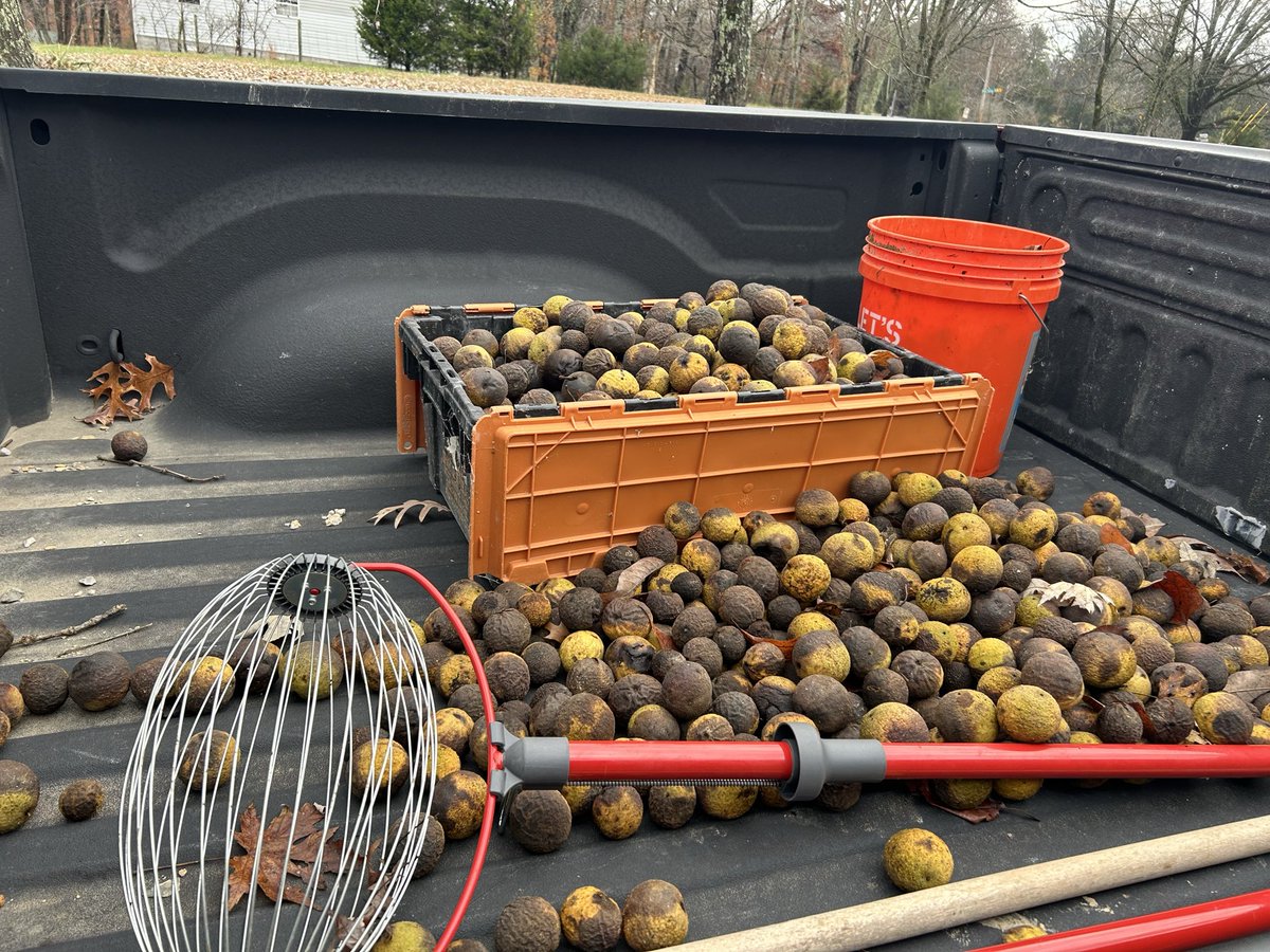 _NodeKeeper_'s tweet image. Nuts!!!!