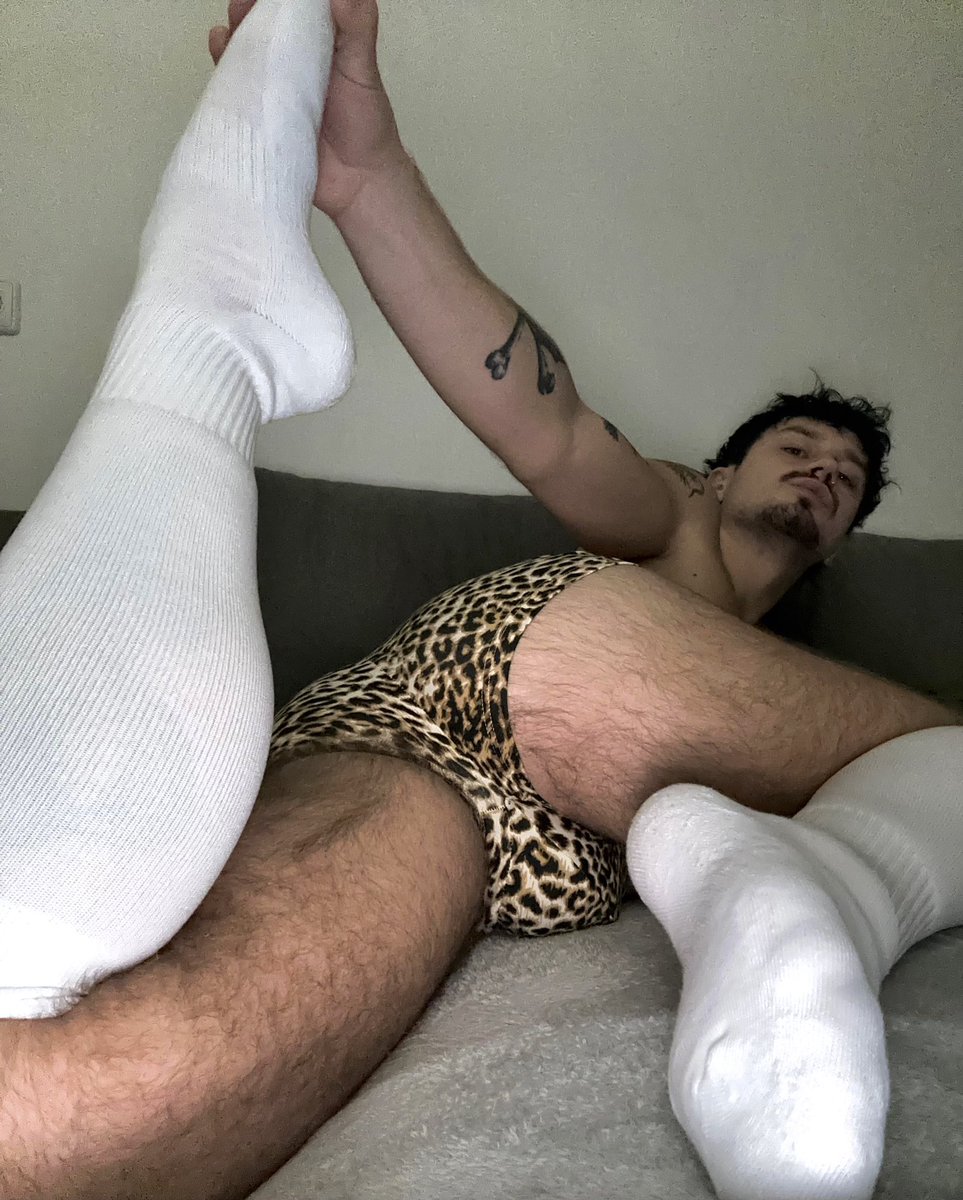 david 🐆 tweet media