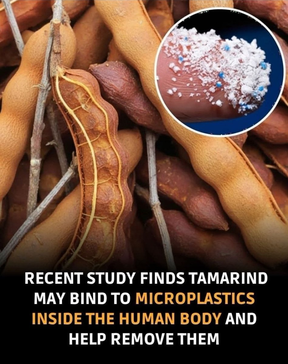 Colette Freiberg (@colettefreiberg) on Twitter photo 