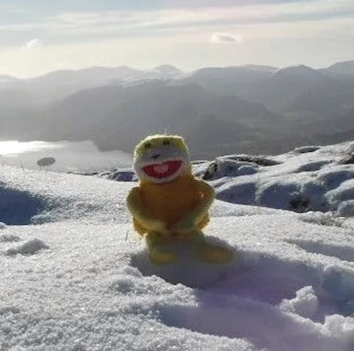 Rosaaaaaaa 🍰🍩 tweet media