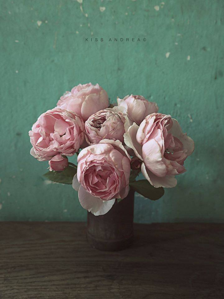 “Don't waste your love on somebody, who doesn't value it.”

― William Shakespeare, Romeo and Juliet