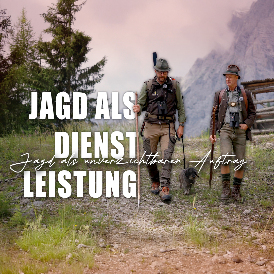 4ONEtv's tweet photo. Jagd als unverzichtbarer Auftrag. In Hinterstoder begleiten wir Goran Zivanovic, Landesjägermeister Herbert Sieghartsleitner, Christopher Böck, Betriebsleiter Klaus Schachenhofer, Andrea Raßegger, sowie Tierarzt Bernhard Seiberl in eine der  Wildregionen des Toten Gebirges. https://t.co/LJrG5dgWqj
