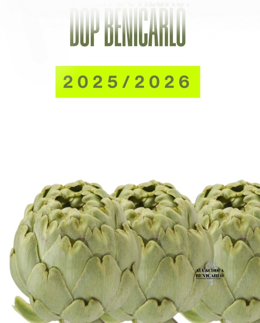 🏅 La del clotet, forma aplatada, cos atapeït i cor tendre. La del segell certificat, l'única, la inconfusible. 

👀💚 Busca l'autèntica #CarxofaDOPBenicarló. Perquè no totes les carxofes són iguals.

#carxofes #yummyfood #gastro #gastronomía #carxofalovers