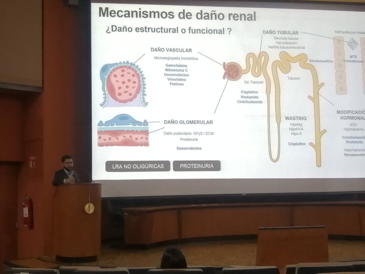 Juan Manuel Mejía tweet media
