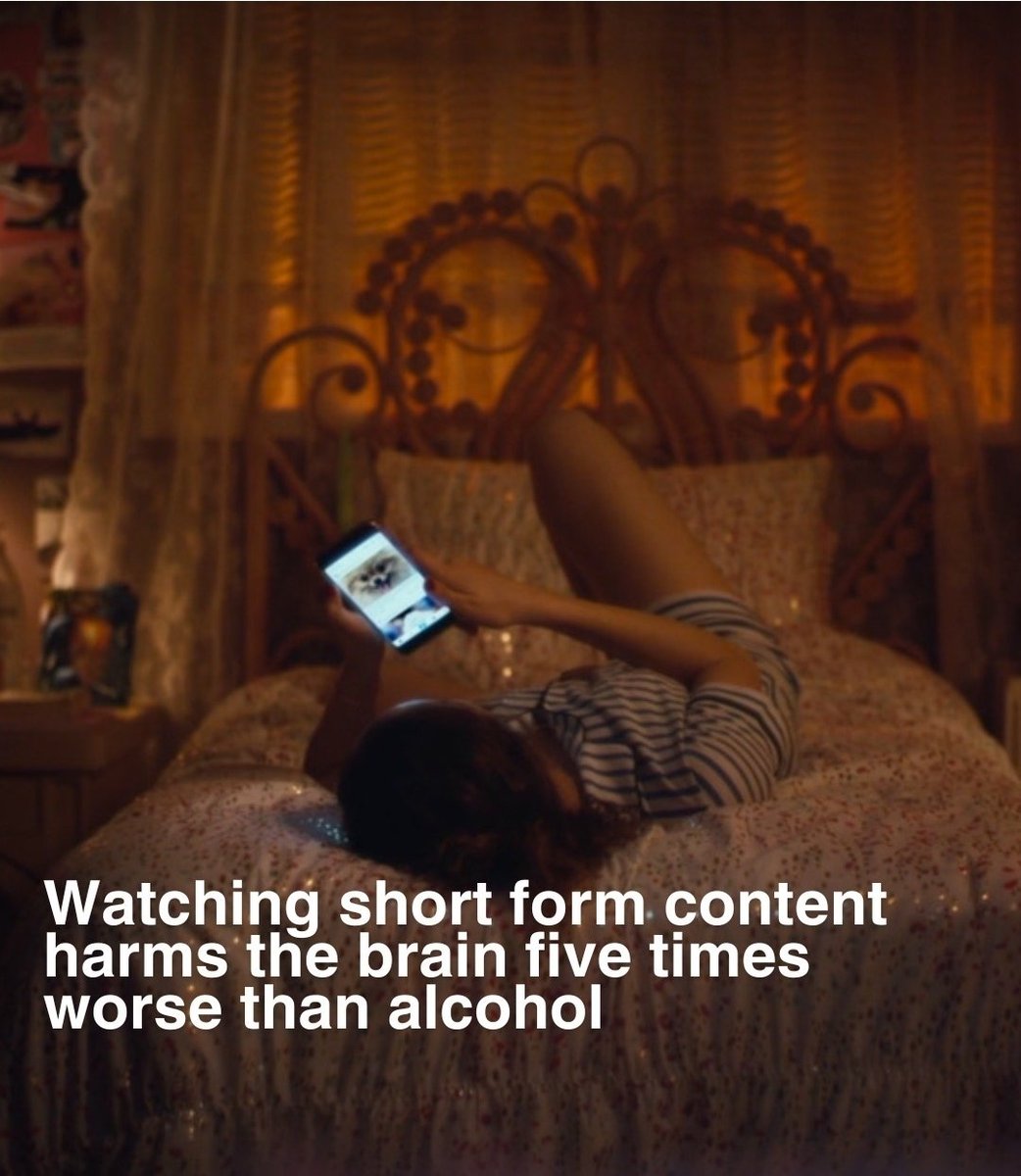 Colette Freiberg (@colettefreiberg) on Twitter photo 