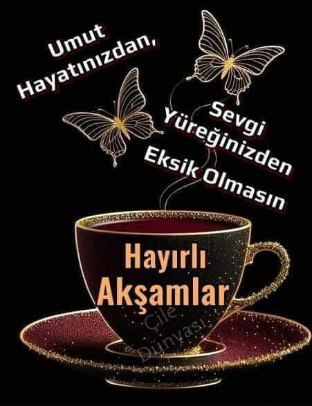 Akşamın sakinliği çöksün üzerine, günün yorgunluğu tatlı bir huzura dönüşsün. Kalbin hep güzel şeylerle dolsun, rüyaların yıldızlar kadar parlak olsun.
Güzel bir akşam geçirmen dileğiyle… 🖤
Mutlu Akşamlar