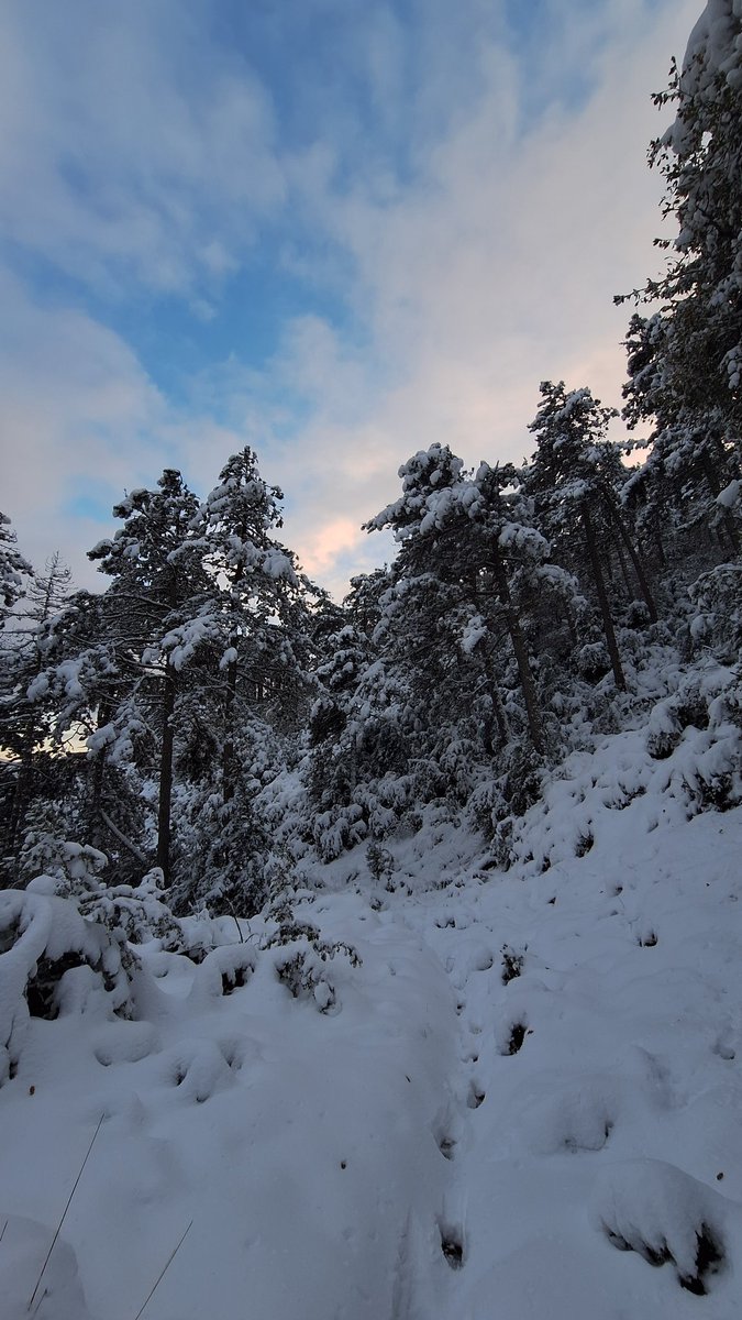Generosa nevada en la Sierra del Perdón con mas de 30cm de espesor! ❄️