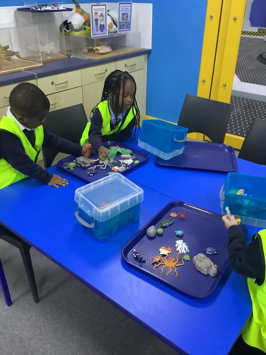 Longhill Primary tweet media