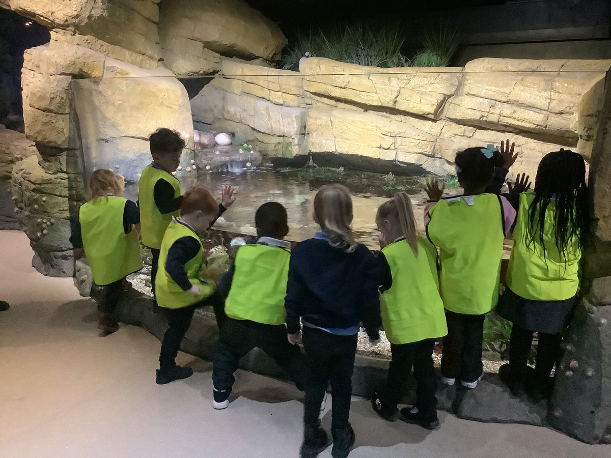 Longhill Primary tweet media