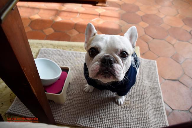 ninoquincampoix (@ninoennormandie) / Posts / X