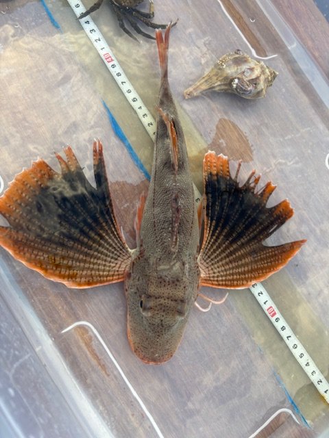 CT Science Teachers tweet media