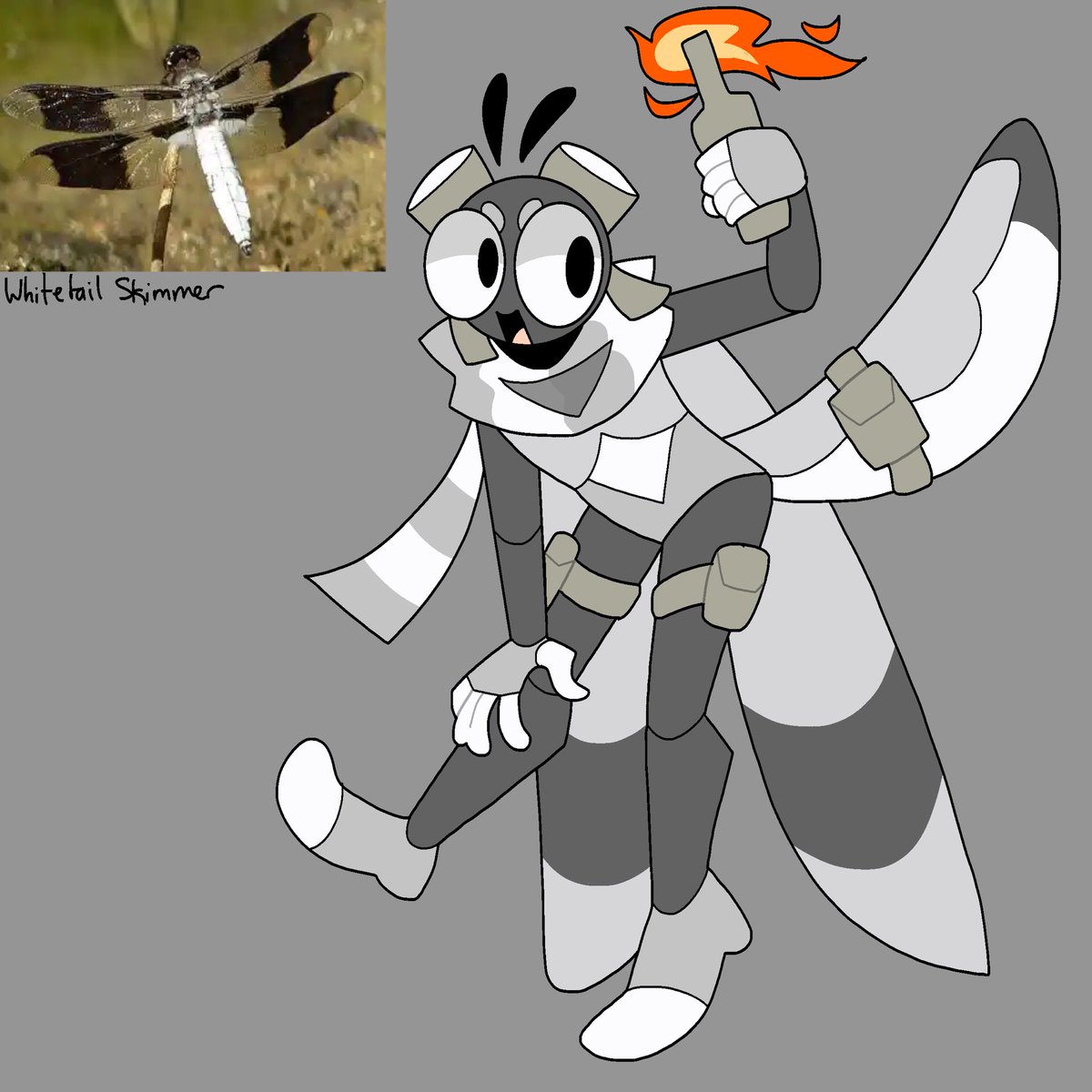 brokencroww's tweet image. Hey guys, sorry for not posting, haven’t been feeling the most social. Bug-A-Day 6: Whitetail Skimmer! #bugoc #bugaday #brokencroww