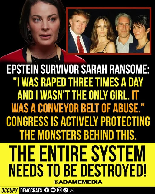 OccupyDemocrats's tweet image. 