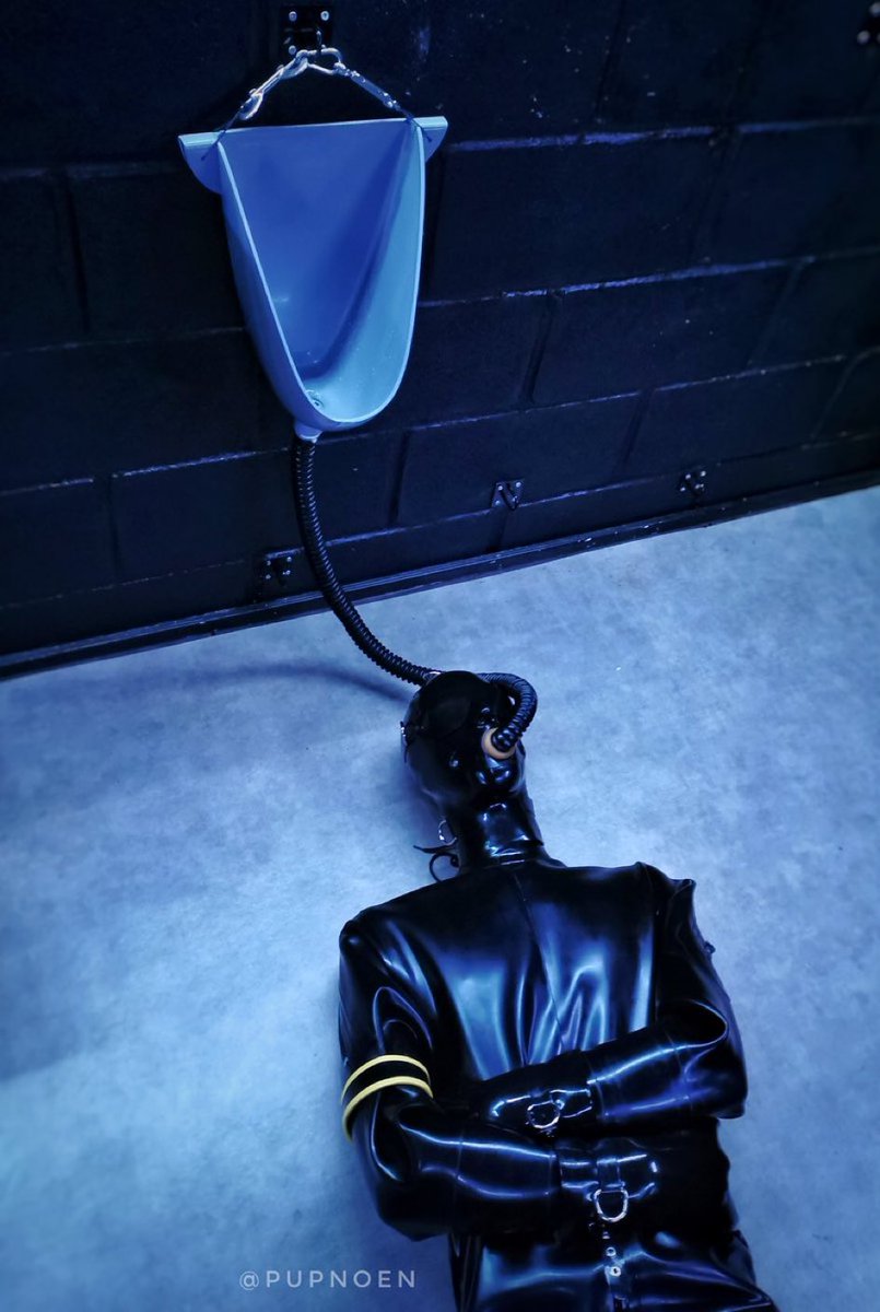 Pig 🐖 tweet media