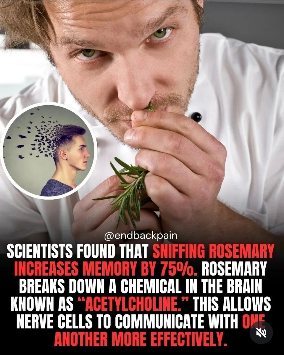 Sniffer Activated 👃 🐽