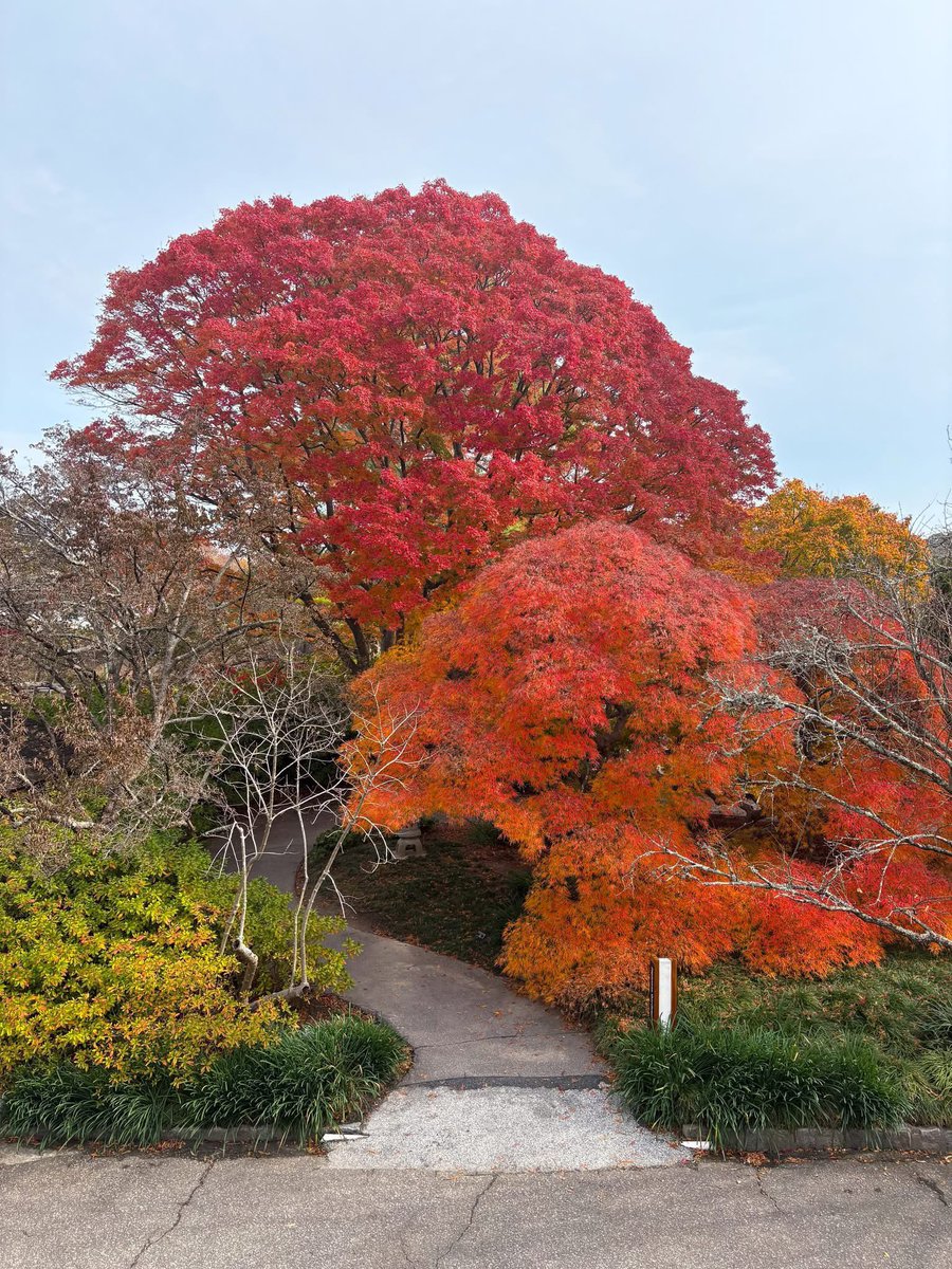 Norfolk Botanical Garden tweet media