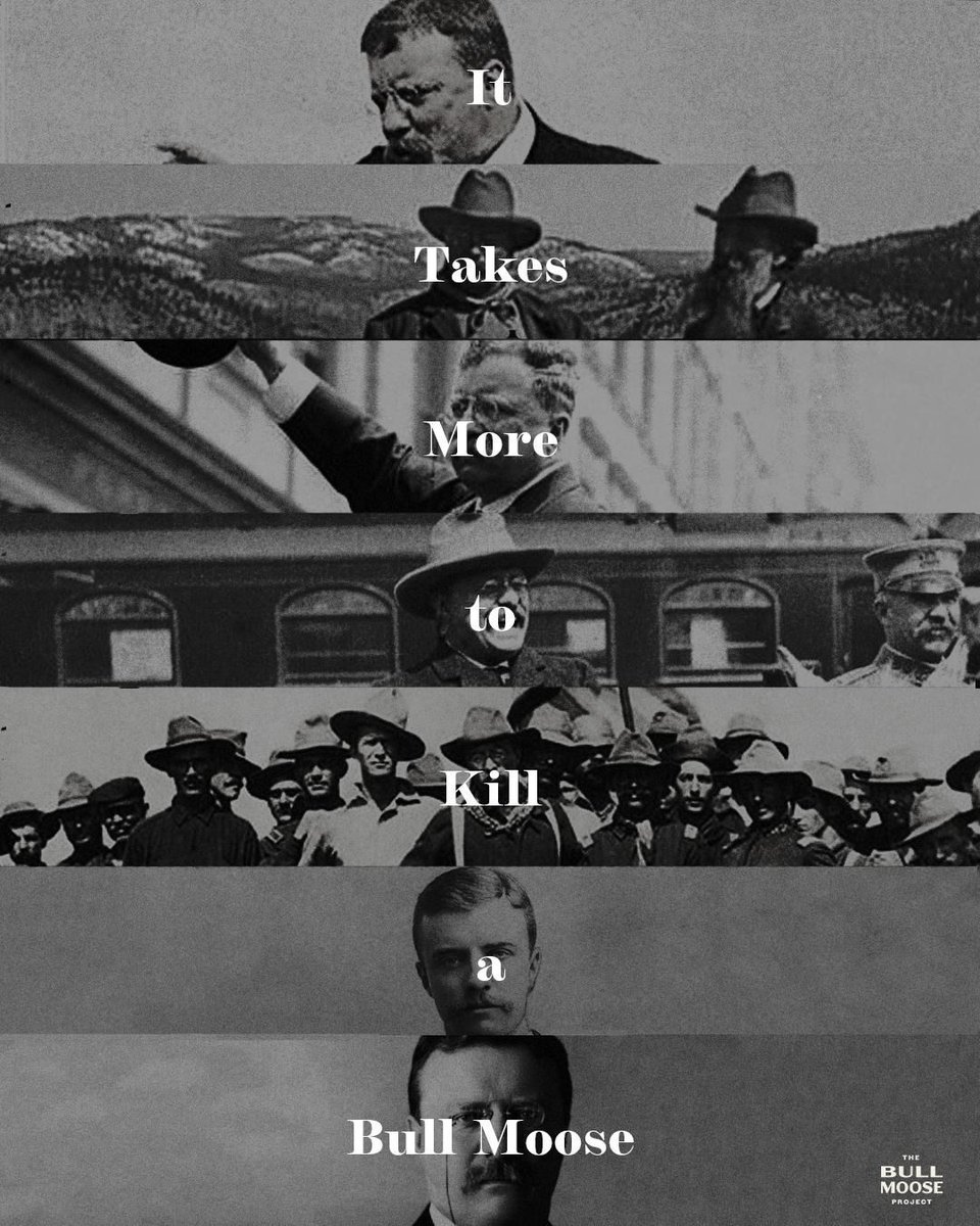 It takes more to stop a Bull Moose.